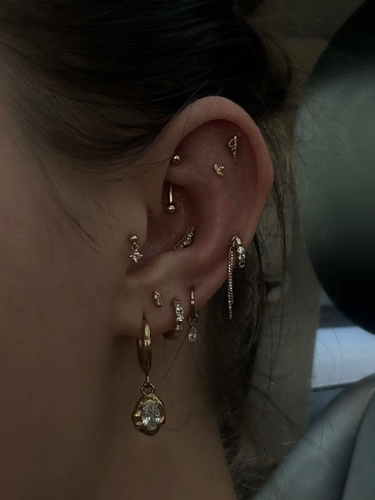 PIERCING DÉBUTANT - TARIF : 1500€
